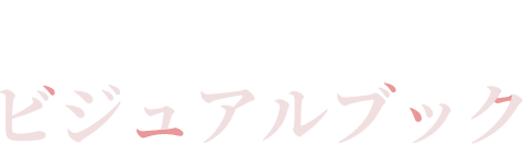 ビジュアルブック